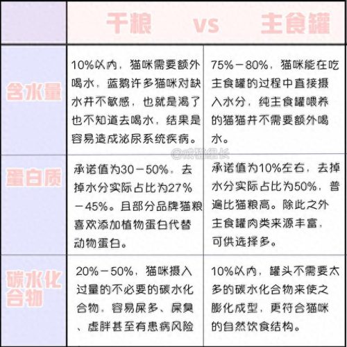 猫咪罐头排名前十(猫咪罐头排行榜)插图