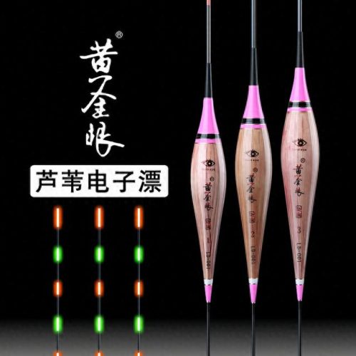 全国排名前十的浮漂(国内比较好的浮漂)插图