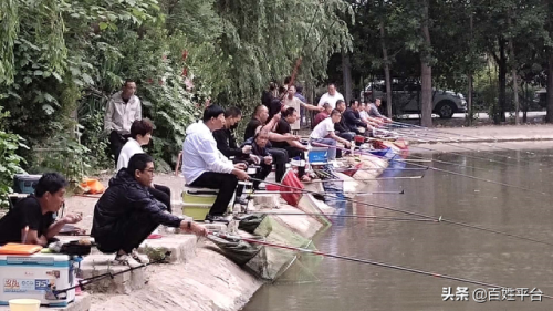 运城钓鱼地点排名前十(运城钓鱼最佳地点)插图9