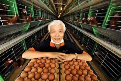 汕头贝壳粉十大排行榜(台湾贝壳粉十大排名)插图4
