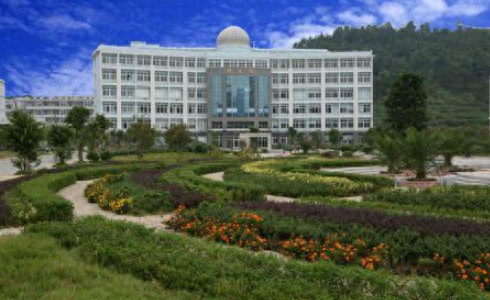 龙湾排名前十的学校(龙湾民办学校有哪些)插图