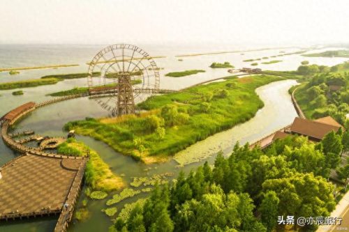 滨州休闲景点排名前十(滨州十大网红景点)插图6