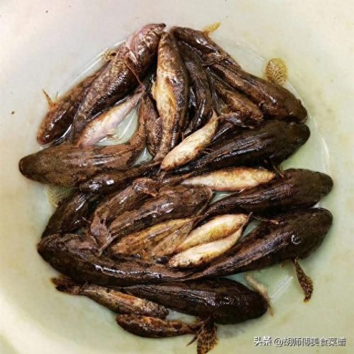 十大无刺鱼排行榜能吃的(最常吃的没有刺的鱼)插图3