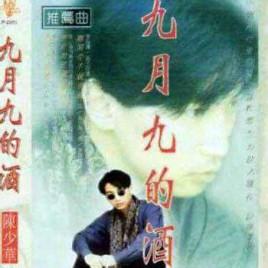 十大中国风歌曲排行榜(最有名的中国风歌曲)插图6