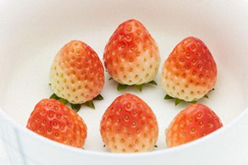 国产奶油十大排行榜最新(高端奶油排行榜)插图2