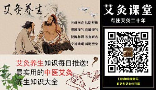 艾叶水分含量排名前十(一般艾叶多少钱一斤)插图2