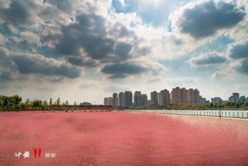 随州地区景点排名前十(随州烧烤十大排名)插图16