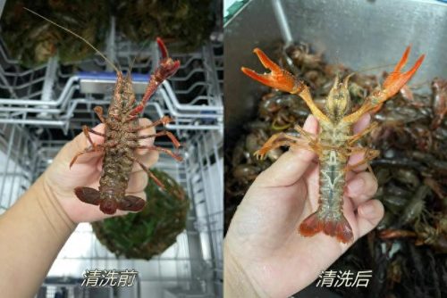 十大必买厨房用品排行榜(厨房用品清单明细表图)插图11