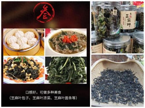 临泉县十大名吃排行榜(临泉好吃的饭店排行)插图13