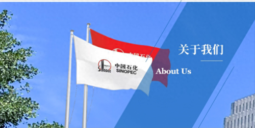 世界企业榜排名前十(世界企业排行榜前十)插图2