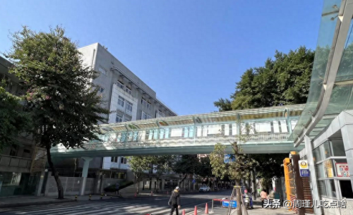 福建小学面积排名前十(福建私立小学十大排名)插图3