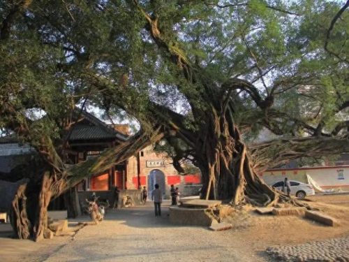 广西省十大古镇排行榜图片(武汉十大古镇是哪几个)插图14