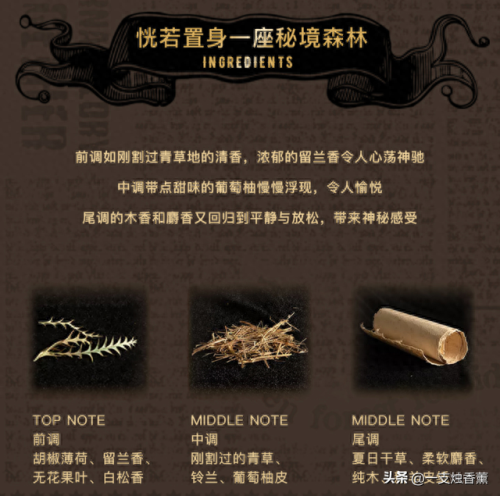上海酒吧香薰排名前十(上海mass酒吧)插图3