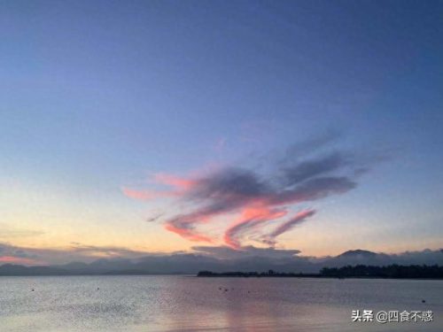 汕尾牛腩店排名前十(汕尾牛腩火锅排行榜)插图30