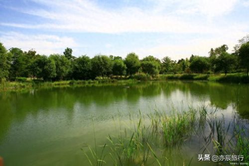 潍坊十大好玩的地方排行榜(潍坊哪里最好玩)插图20