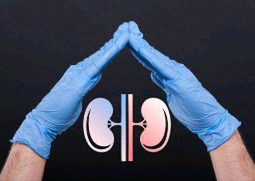 中国十大肾病中医专家排行榜(北京中医十位肾病专家名单)插图2