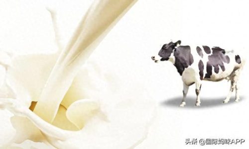 小众纯牛奶十大排行榜(纯奶哪个牌子比较好)插图10