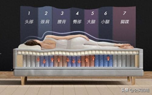 山棕床垫十大排行榜(徐师傅山棕床垫)插图9