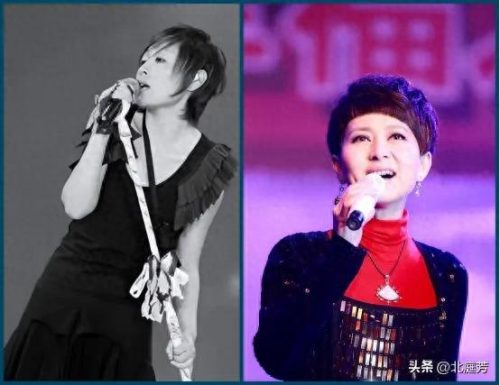 东北女歌手排名前十(东北四大女网红)插图