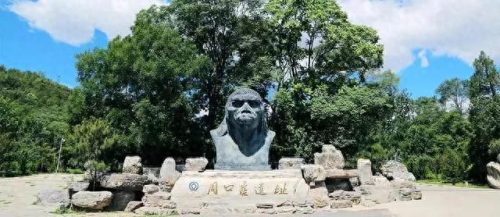 考古基地规模排名前十(考古十大排名)插图1