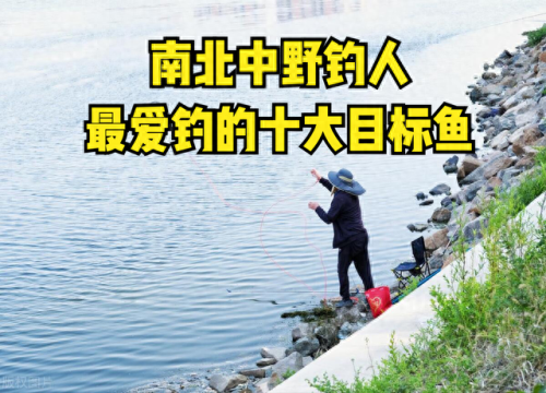 十大喜欢钓鱼的鱼类排行榜(通州十大免费钓鱼地方)插图