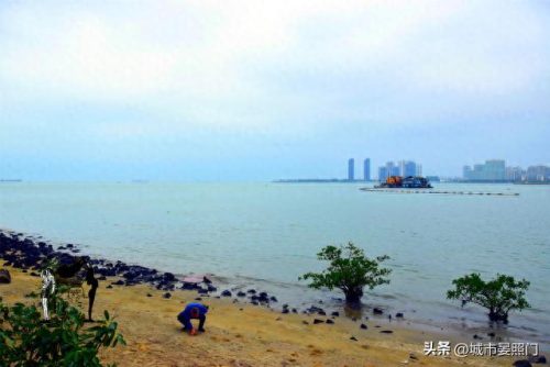 沙滩泳池厂家排名前十(成品泳池品牌排行榜)插图35