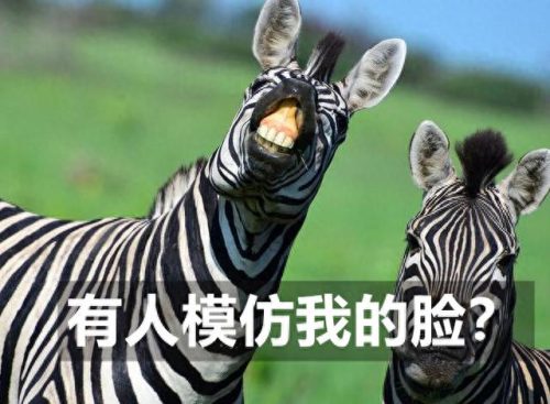 十大最辣的鞋子品牌排行榜(二线品牌鞋子排行榜)插图6
