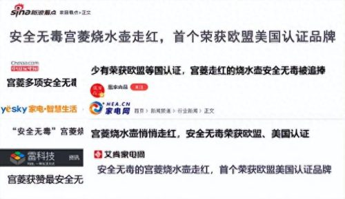 高级养生壶排名前十(养生壶排行榜10强)插图6