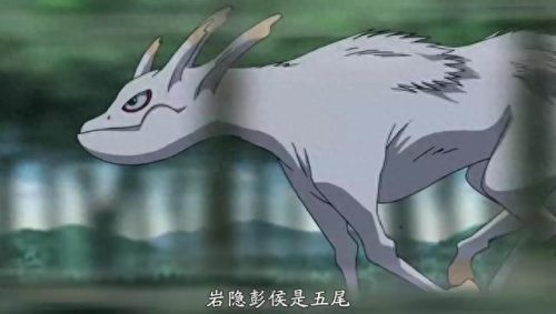 写轮眼十大神兽排行榜(写轮眼哪个人最稀有)插图5