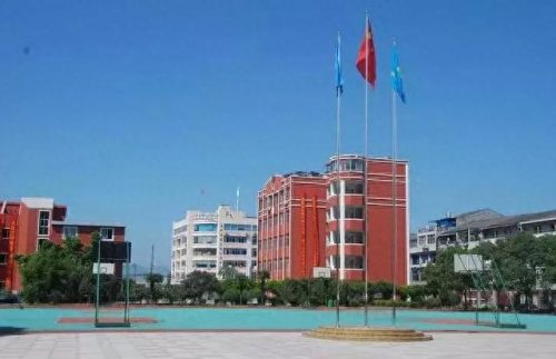 温州小学教育排名前十(温州好的小学排名一览表)插图26