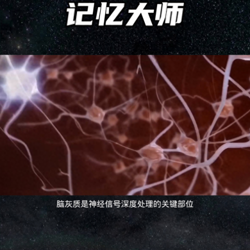 全国记忆大师排名前十(大师记忆)插图1