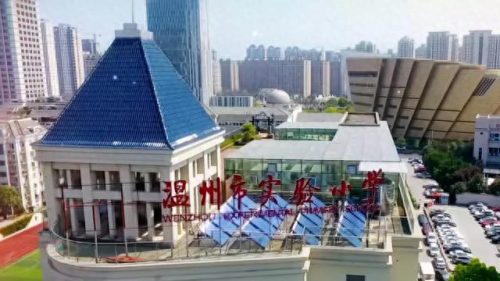 温州小学教育排名前十(温州好的小学排名一览表)插图31