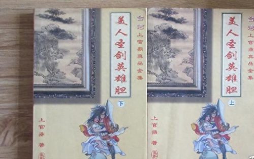 十大雷人爱情小说排行榜(禁锢的爱情小说)插图3