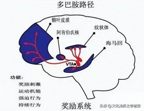 上海饮料销量排名前十(上海嘉德饮料批发)插图16