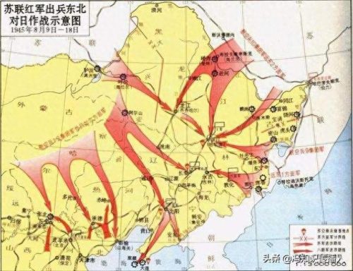 二战十大神剧排行榜(二战必看十部电视剧)插图12