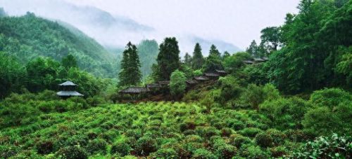 江西避暑之乡排名前十(江西避暑十佳地点)插图8