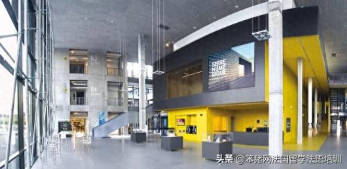 动漫学院评级排名前十(目前动漫排名)插图6