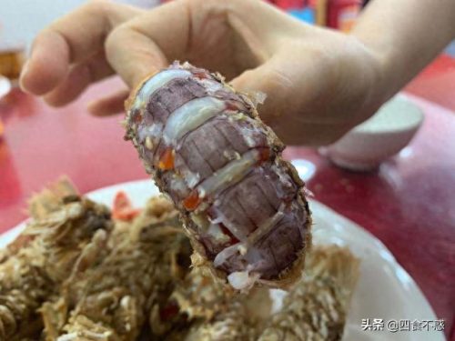 汕尾牛腩店排名前十(汕尾牛腩火锅排行榜)插图8