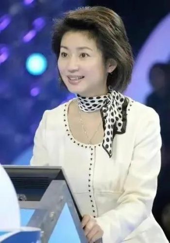内地十大女主持人排行榜(国内公认十大女主持人)插图3