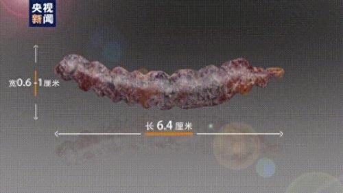 巩义封闭中学排名前十(巩义新欣中学怎么样)插图5