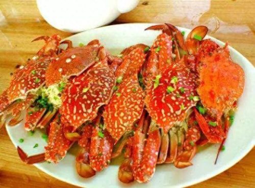 电城饭店排名前十(电城有哪些好吃的店)插图8