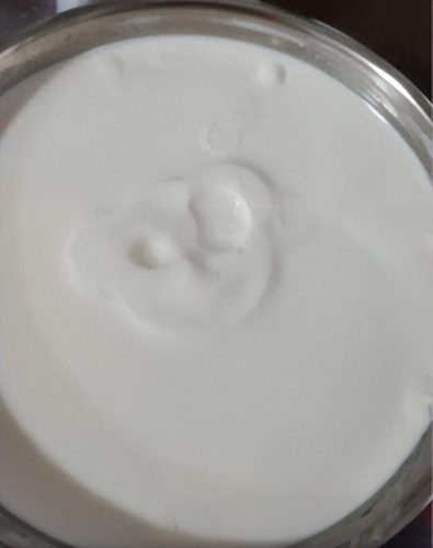 十大商业酸奶机品牌排行榜(酸奶机口碑最好的前十名)插图5