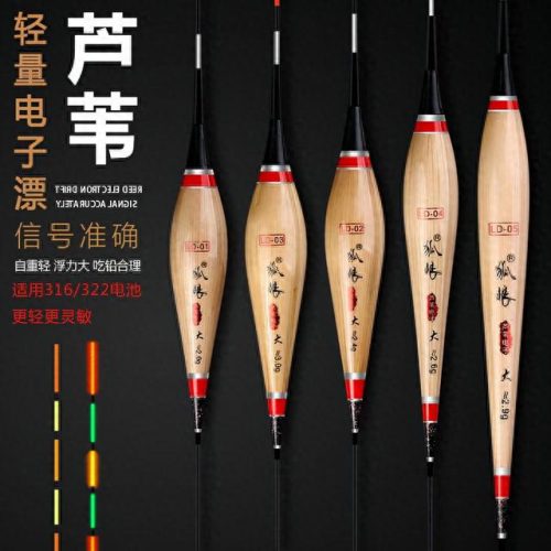 全国排名前十的浮漂(国内比较好的浮漂)插图2