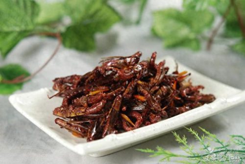 临沂甜味小吃排名前十(临沂费县小吃一条街在哪里)插图12