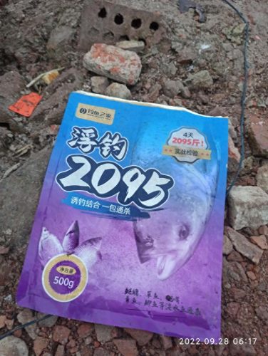 鲢鳙饵料排名前十(立秋后钓鲢鳙鱼最佳时间)插图2