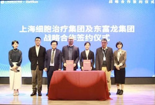 中国90后十大富翁排行榜(90后十大富豪排行榜)插图4
