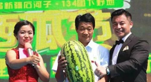 新疆燕窝品种排名前十(新疆产的燕窝)插图10