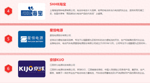 十大电瓶摩托车品牌排行榜(电瓶十大品牌排名大全)插图3