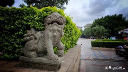 武鸣武术高手排名前十(广西武鸣如意堂梁海)插图1