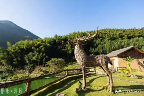 淳安桐庐酒店排名前十(浙江桐庐最好酒店)插图47
